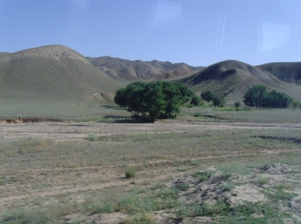 车缓缓地向大峡谷驶去