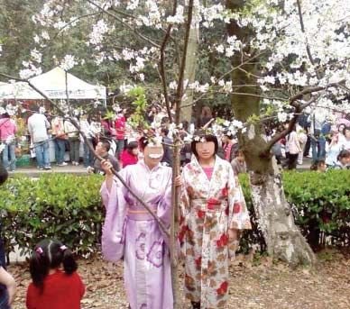 母女著和服在武大櫻園拍照 遭數(shù)十人怒轟(圖)