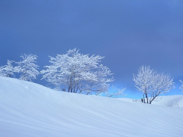 今天,迎来了冬日场很大的美丽纯净的轻舞飘雪,望着